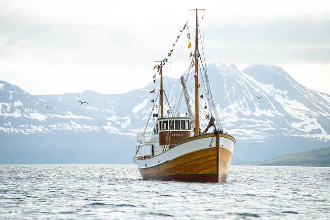 1 Hour Photo & History Cruise - Hermes II: what you’re really stepping onto