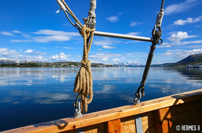 1 Hour Photo & History Cruise - Who should book the Hermes II photo and history cruise