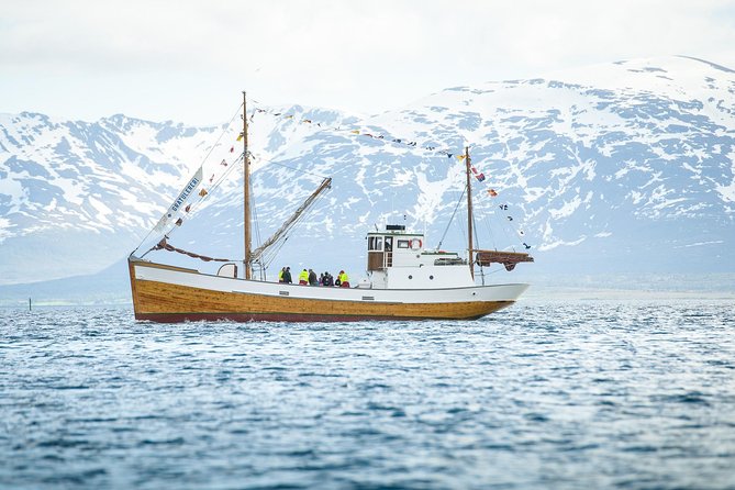 1 Hour Photo & History Cruise - Timing and meeting points you should plan around