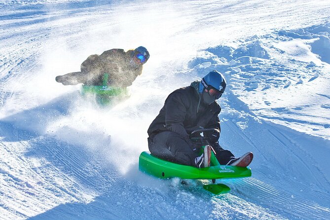 2-Hour Racing Toboggan at Dagali Fjellpark near Geilo in Norway - Dagali Fjellpark racing sleds, built for speed with brakes and safety gear
