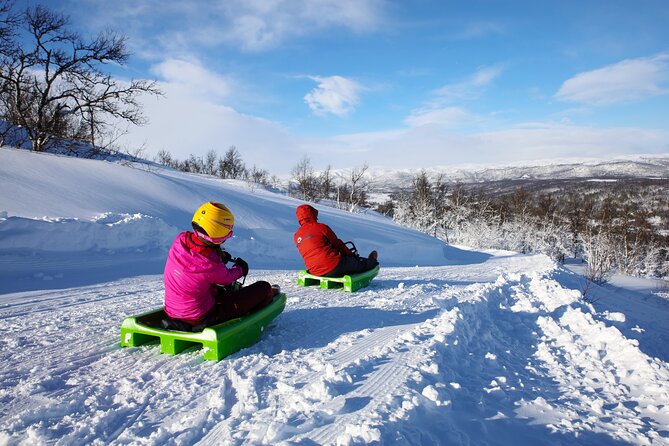 2-Hour Racing Toboggan at Dagali Fjellpark near Geilo in Norway - Day vs night sledding near Geilo: calmer sightlines or full darkness thrills