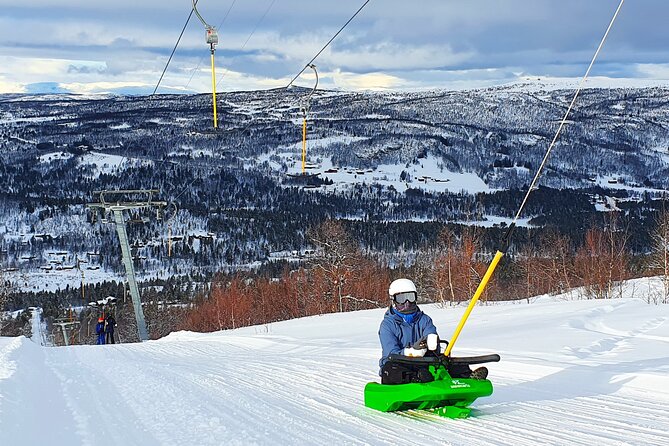 2-Hour Racing Toboggan at Dagali Fjellpark near Geilo in Norway - Should you book the 2-Hour Racing Toboggan at Dagali Fjellpark?