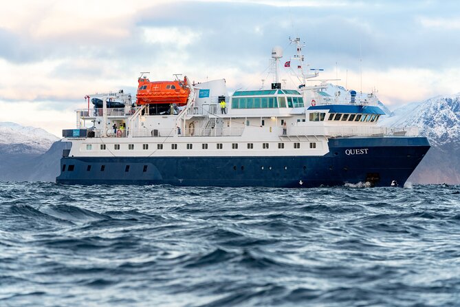 24hr Northern Lights & Whale Watching Cruise - Check-in at Samuel Arnesens gate 5, Then You’re Off at 8 PM