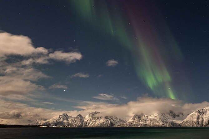 24hr Northern Lights & Whale Watching Cruise - First Night on the Boat: Dinner, Lectures, and an Actual Chase