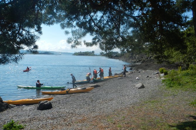 3- Hour Kayak Tour on the Oslofjord - Single vs double kayaks, and why beginners still fit