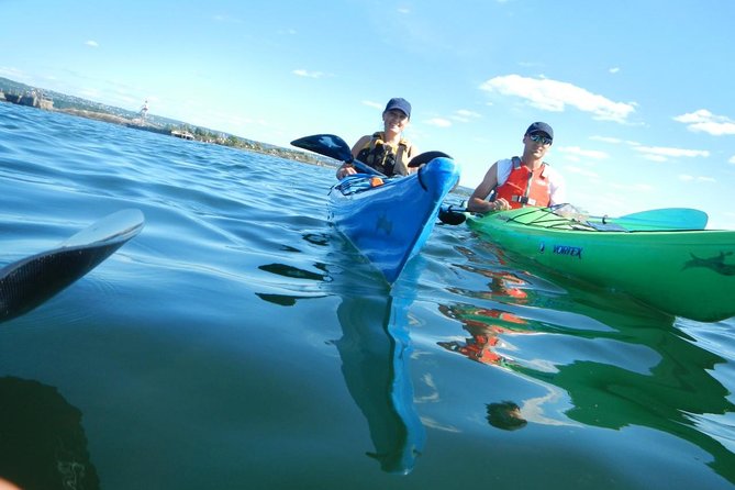 3- Hour Kayak Tour on the Oslofjord - Should you book the Oslofjord 3-hour kayak tour?