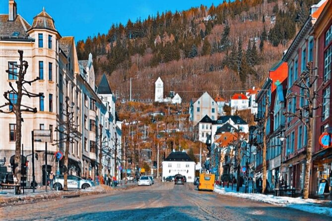 3-Hour Private Tour Hiked through the Bergen Mountains - Meeting Point and Timing: Starting at Fløibanen, Ending Where You Began
