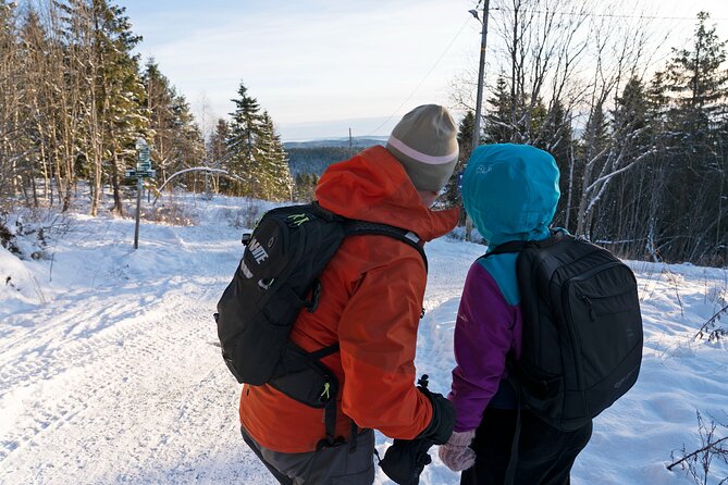 4 hours Best View of the Oslofjord Winter Edition - The pace, walking reality, and what to wear