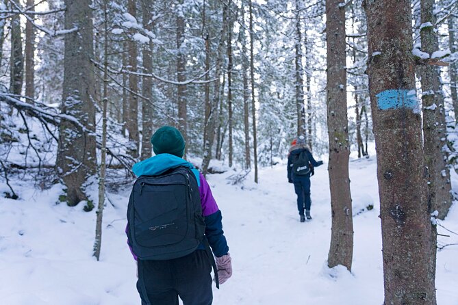 4 hours Best View of the Oslofjord Winter Edition - Who this is perfect for (and who should choose something else)