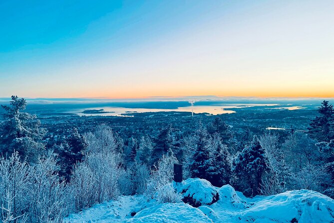 4 hours Best View of the Oslofjord Winter Edition - Fuglemyra winter forest: cabin culture and the Huldra story