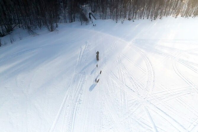 4hr Dog Sledding Trip in Gargia Valley - Getting from Alta to Gargia, and why the ride time matters
