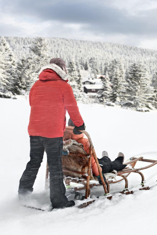 4hr Dog Sledding Trip on Finnmarksvidda - Key Things I’d Plan Around