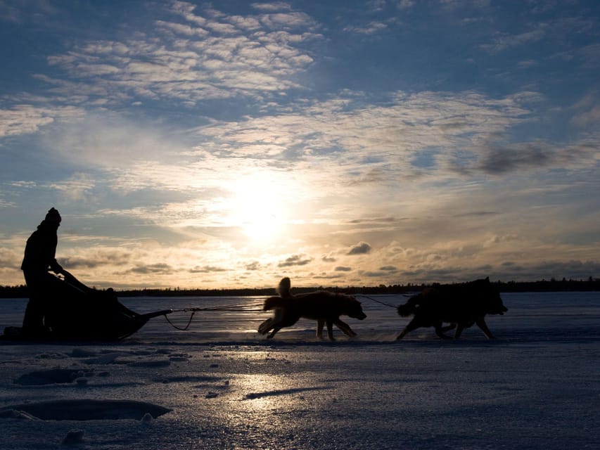 4hr Dog Sledding Trip on Finnmarksvidda - Price and Value: Is $340 Fair for a Half-Day?
