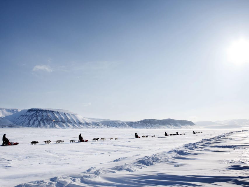 4hr Dog Sledding Trip on Finnmarksvidda - Small-Group Size Matters More Than You Think