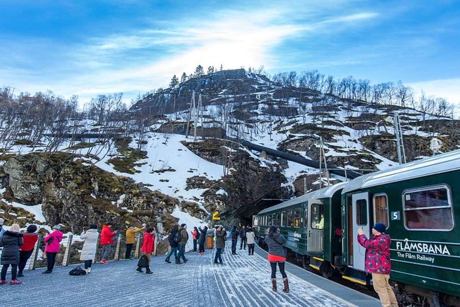 7-Day Scenic Scandinavian Tour from Oslo exploring Denmark, Sweden and fjords in Norway - Returning to Oslo: City Hall, Frogner Park, and Vigeland statues