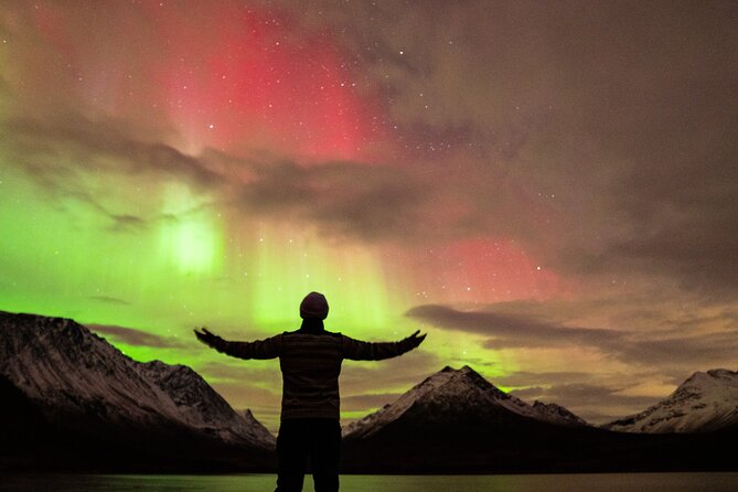 7 hours Tromsø Aurora Tour: Photos, snacks & warm drinks included - The bus search strategy, and how “good weather” changes the plan