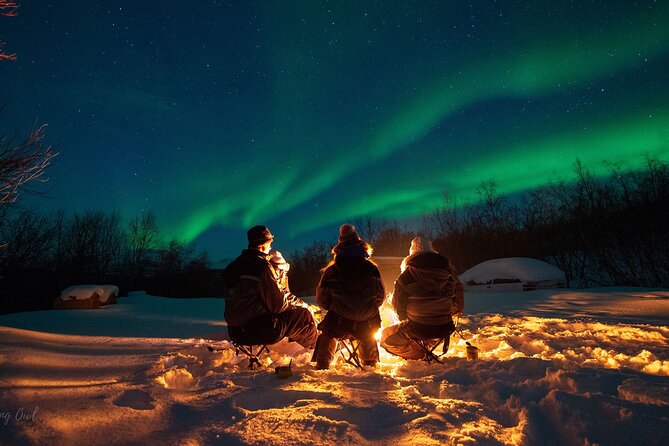 Adults Only Aurora Hunt with Wandering Owl - Where you meet in Tromsø, and how the night usually flows
