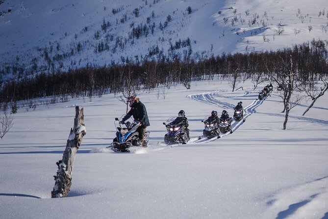 Adventure Snowmobile Safari - Snowmobile in Pairs: Switching Drivers Mid-Route