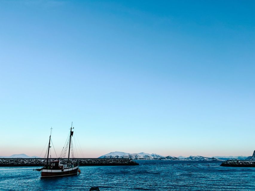 Ålesund: Ålesund and Surrounding Islands Audio Guide Tour - Price and what $136 buys you in real terms