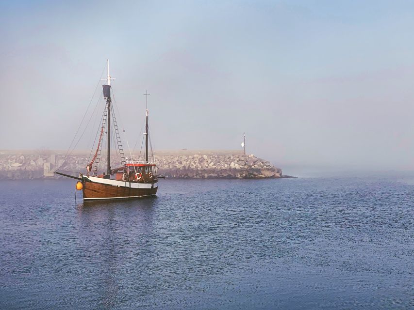 Alesund: Private Tour to the Viking Islands - Private guide value: who you might get and what that usually means
