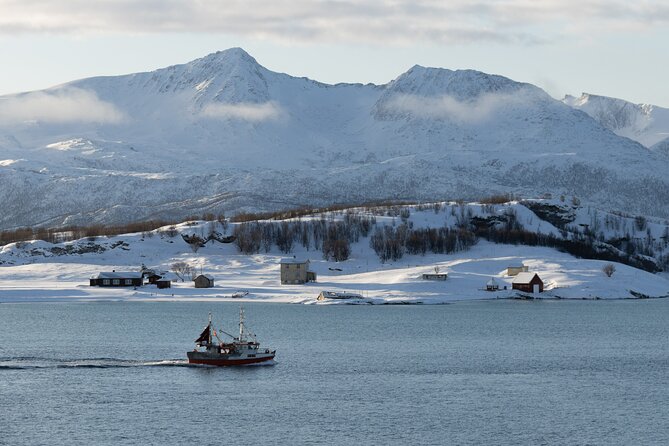All-Inclusive Arctic Fjords and Sommarøy Scenic Tour - Key highlights at a glance