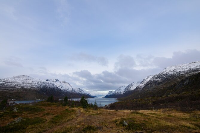 All-Inclusive Arctic Fjords and Sommarøy Scenic Tour - Kvaløya And Sommarøy: Why This Route Feels Worth Your Time