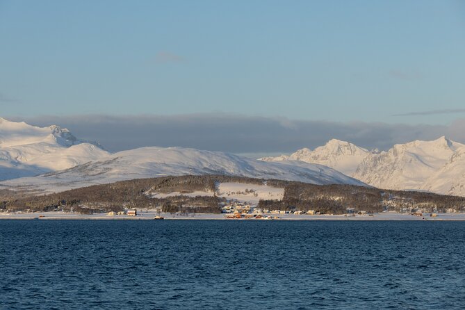 All-Inclusive Arctic Fjords and Sommarøy Scenic Tour - Mercedes Sprinter Comfort And Why It Matters In Wintery Weather