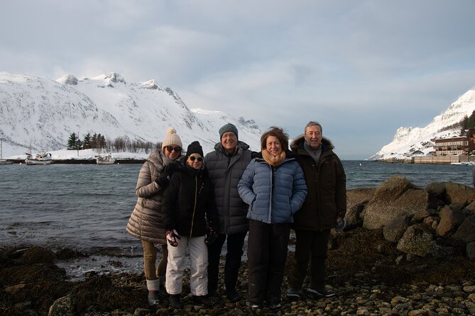 All-Inclusive Arctic Fjords and Sommarøy Scenic Tour - Kvaløya Island Photo Stops: Fjords, Mountains, And Wildlife Chances