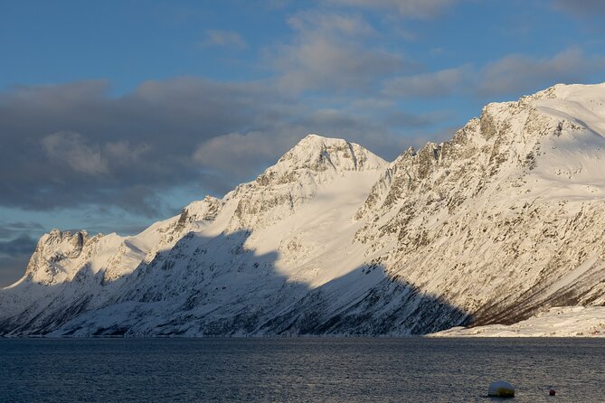 All-Inclusive Arctic Fjords and Sommarøy Scenic Tour - Price and Value For $220.77 Per Person