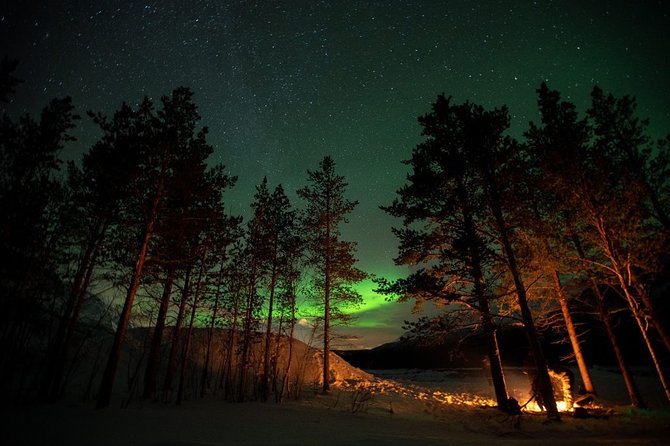 All inclusive - Northern Lights Hunt - Who Runs the Night Matters: Guide, Driver, and Small-Group Team Energy