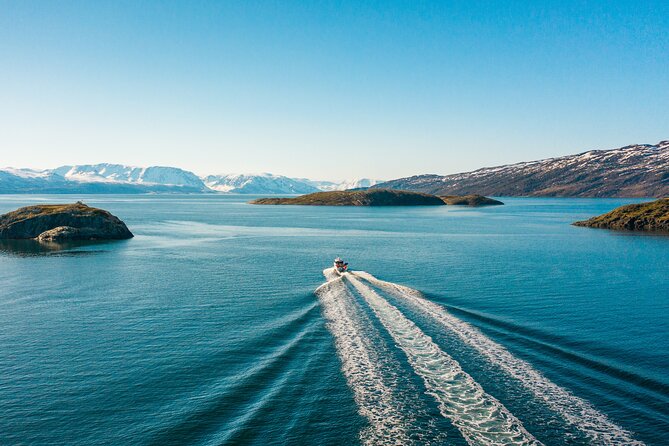 Alta: 2 Hours Guided Adventure Cruise in Alta Fjord - Key highlights