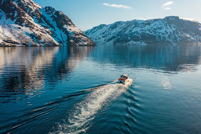 Alta: 2 Hours Guided Adventure Cruise in Alta Fjord - A 2-Hour Fjord Cruise From Fiskerihavna: The Real Feel of the Timing