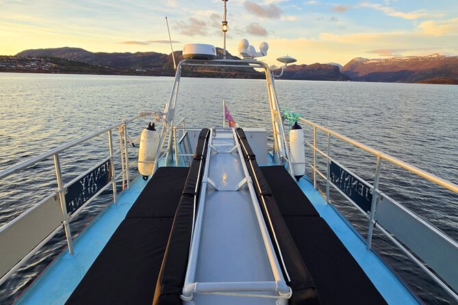 Alta: 2 Hours Guided Adventure Cruise in Alta Fjord - Who Runs the Boat: Guides, Captains, and the How of the Storytelling