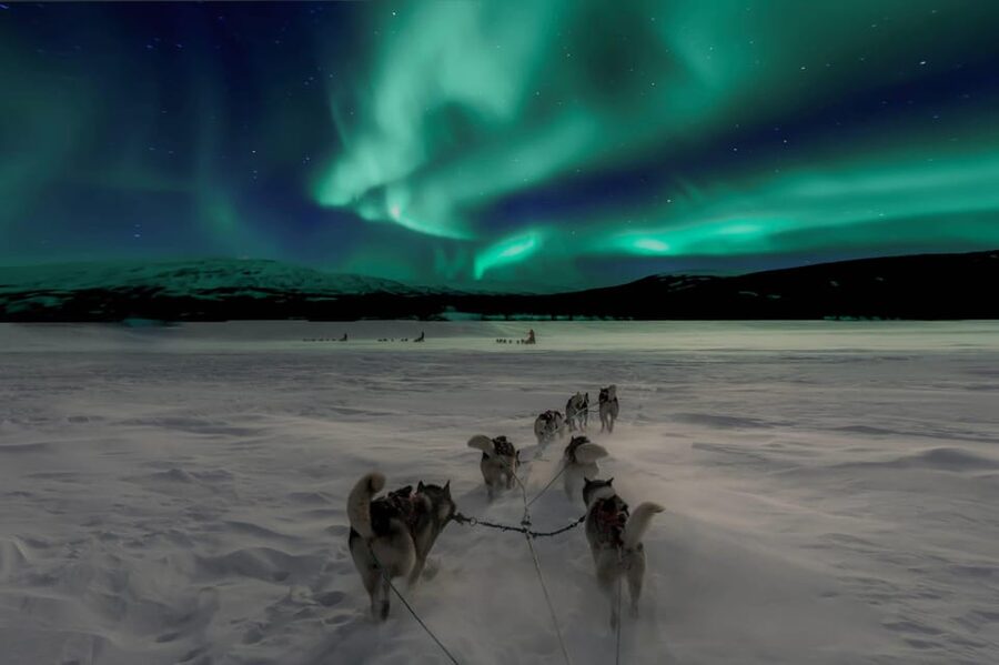 Alta: Dog Sledding Trip under the Northern Lights - Key things I’d plan around