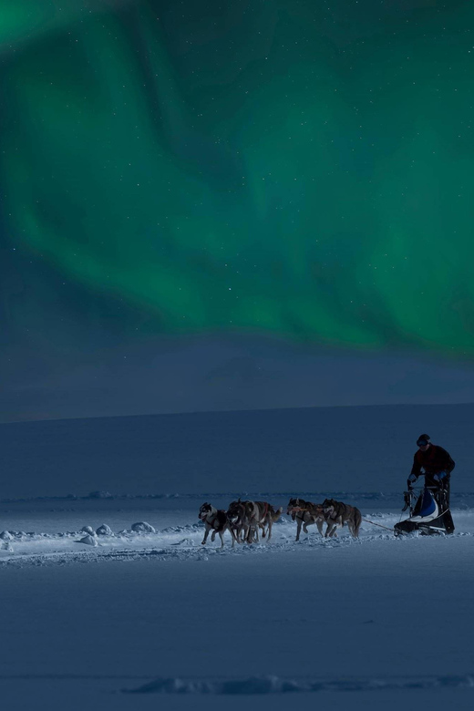 Alta: Dog Sledding Trip under the Northern Lights - The Aurora Borealis Part: Watching for Lights Without Stress