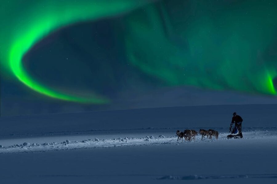 Alta: Dog Sledding Trip under the Northern Lights - Meet, Pat, and Feed the Huskies: The Part You’ll Remember Longer Than the Ride