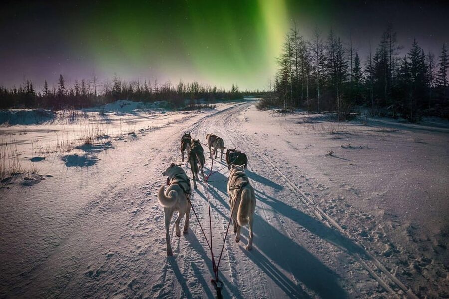 Alta: Dog Sledding Trip under the Northern Lights - From Alta to Gargia: the Short Transfer that Makes Cold Weather Easier
