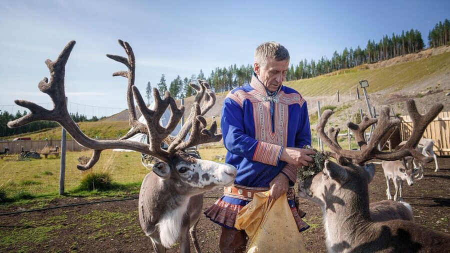 Alta: Reindeer - A carrier of Sámi Culture - Where You Start: Main Entrance to the Sami Siida Setting