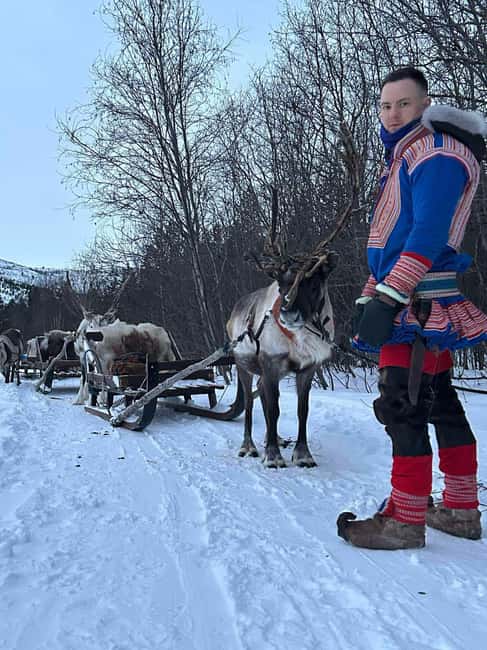 Alta: Reindeer Ride - Key things I’d circle before you book