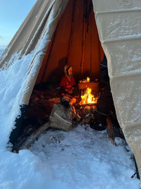 Alta: Reindeer Ride - Reindeer Silence, Sámi Stories, and a Chance at the Northern Lights