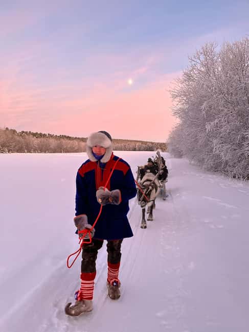 Alta: Reindeer Ride - Price and Value at $261 Per Person for Two-Hour Winter Wonder