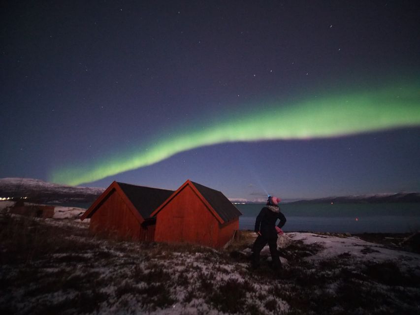 Alta: Small-Group Guided Northern Lights Tour - Key highlights you will care about