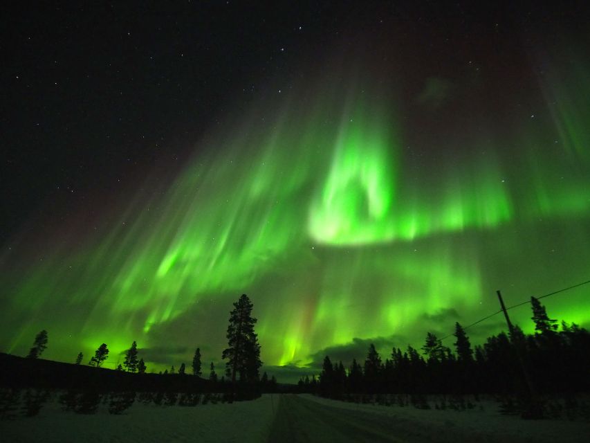 Alta: Small-Group Guided Northern Lights Tour - How guides actually hunt the lights: KP strength and cloud logic