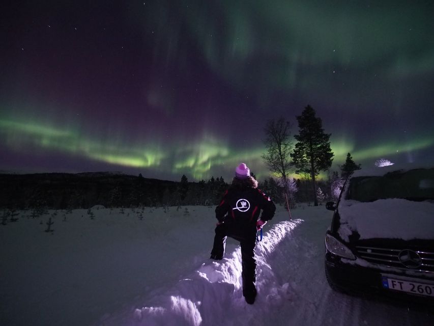 Alta: Small-Group Guided Northern Lights Tour - Alta and Finnmark stories that make the waiting feel worth it