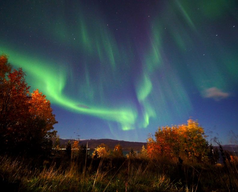 Alta: Small-Group Guided Northern Lights Tour - Price and value: $251 for 4 hours in Norway