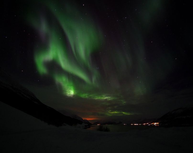Alta: Small-Group Guided Northern Lights Tour - Who should book Alta Adventure AS, and who should skip it