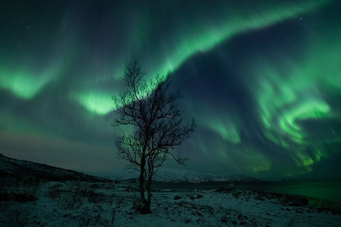 An All-Inclusive Tour - Aurora & Arctic Experience - Weather Reality: What Happens When the Sky Is Cloudy or Stormy