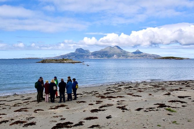 Arctic Coastal Walk - Why Bodø’s Arctic coast works so well in 2 hours