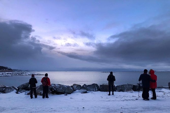 Arctic Coastal Walk - What you learn: Vikings, burial ground stories, and coastal context