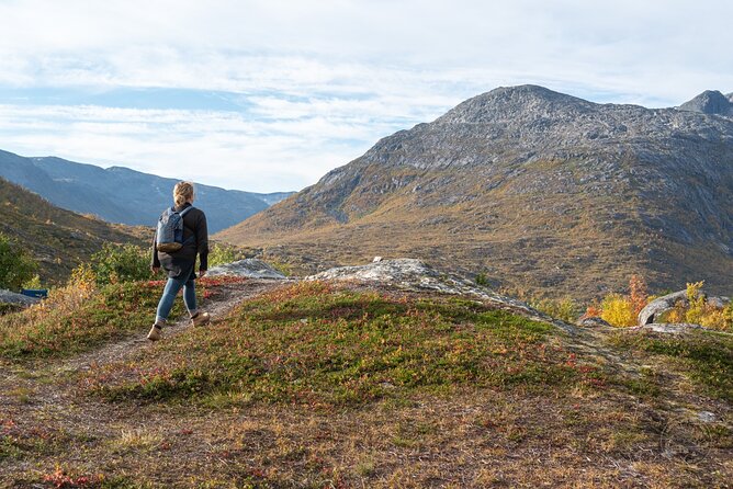 Arctic Fjord Roadtrip with Scenic Picnic from Tromso - Kvaløya, Sommarøy, and the fjord stops that make the drive worth it